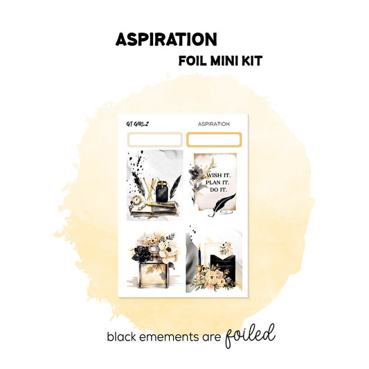 Aspiration Mini Kit