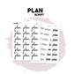 Plan Script